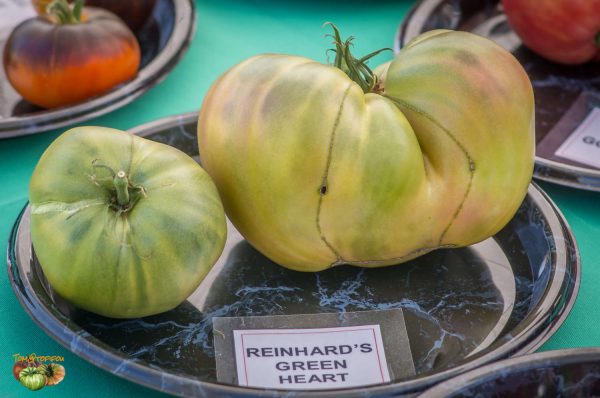 REINHARD'S GREEN HEART – Image 4
