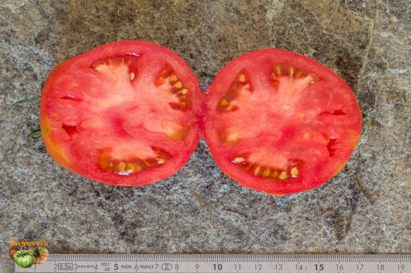 BEEF TANINGES – Image 3