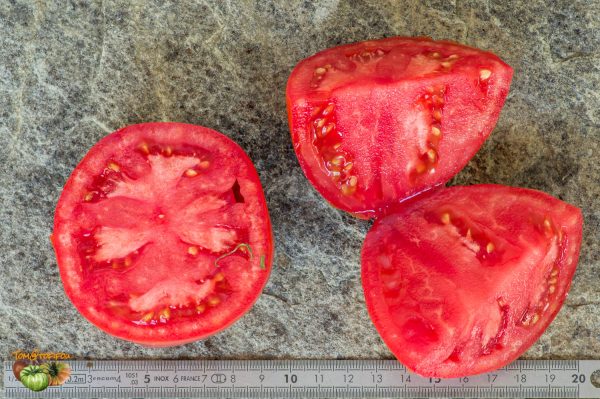 BEEF TANINGES – Image 4