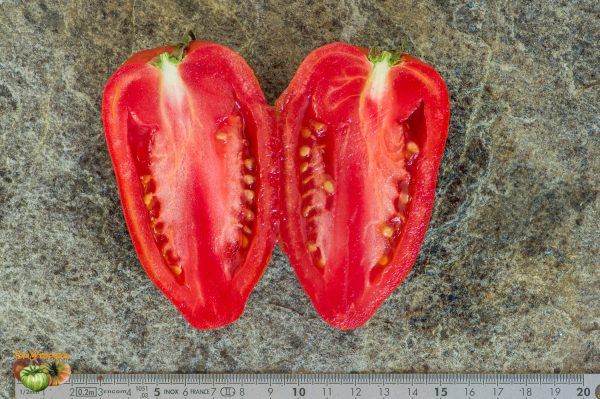 BEEF TANINGES – Image 7