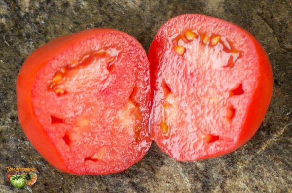 BEEF TANINGES – Image 5