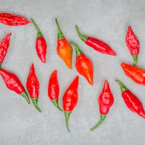 habanero luciferino