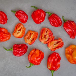 habanero el reno