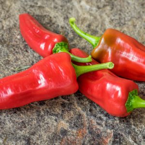 AJI MONAGRE