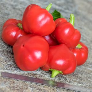 ALMA PAPRIKA