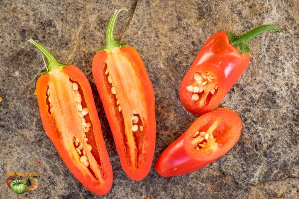 BIKER BILL'S JALAPENO – Image 5