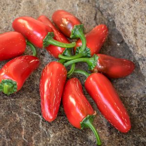 BIKER BILL'S JALAPENO