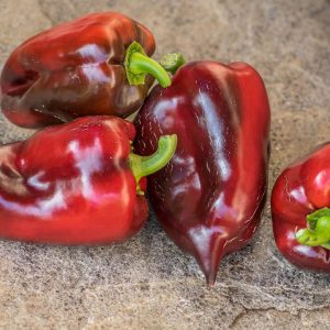 HUNGARIAN BLACK