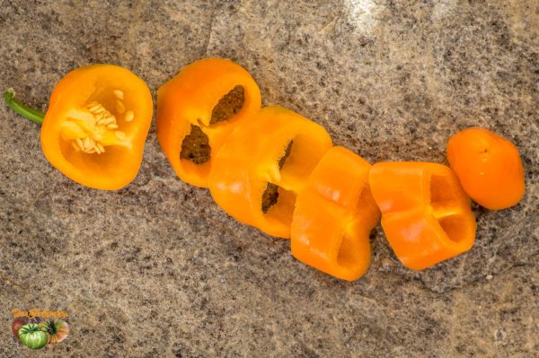 YUMMY SWEET PEPPER – Image 5
