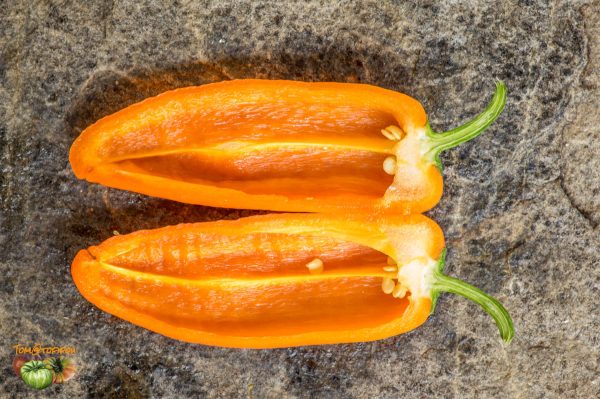 YUMMY SWEET PEPPER – Image 8