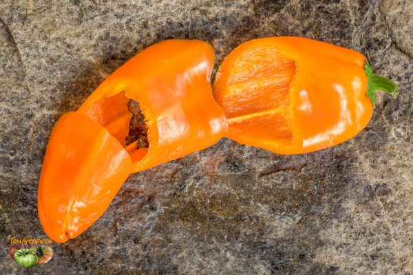 YUMMY SWEET PEPPER – Image 6