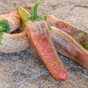 FARMER'S JALAPENO
