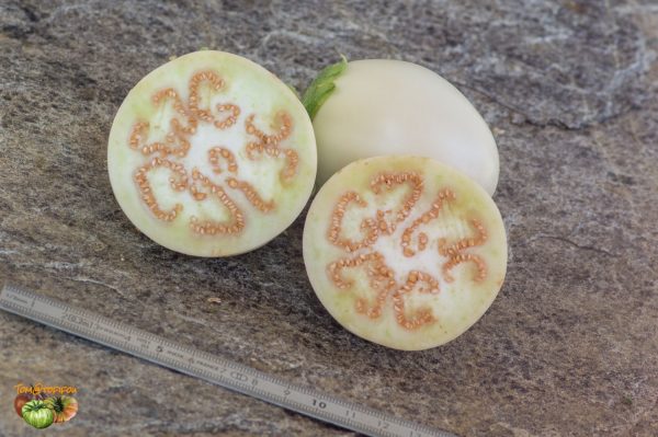 JAPANESE WHITE EGG – Image 4