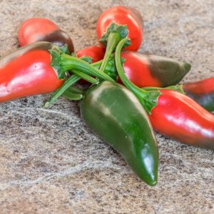 GIANT JALAPENO