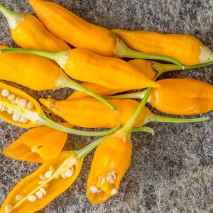 AJI HABANERO