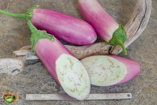 kashmiri brinjal