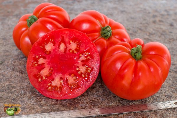 super marmande