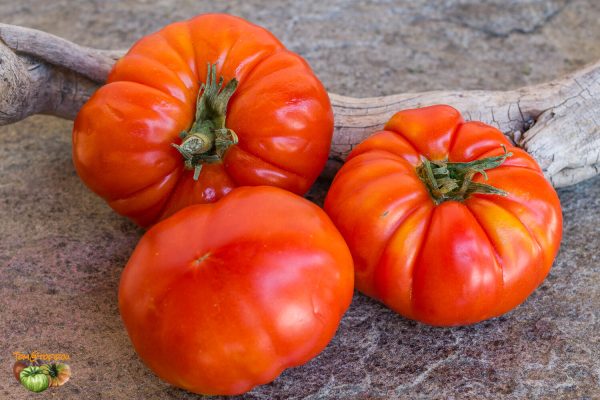 super marmande