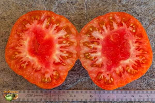 super marmande