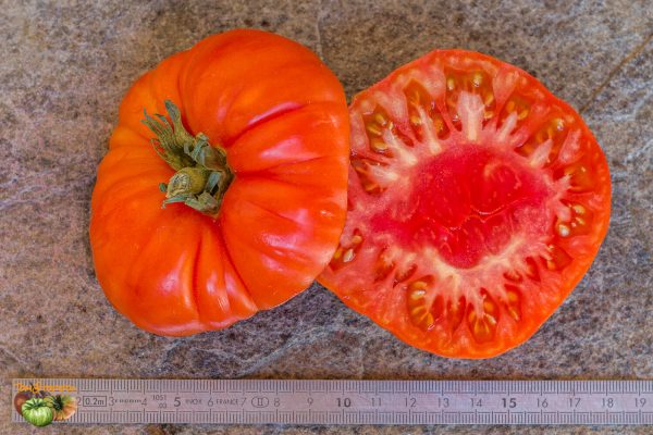 super marmande