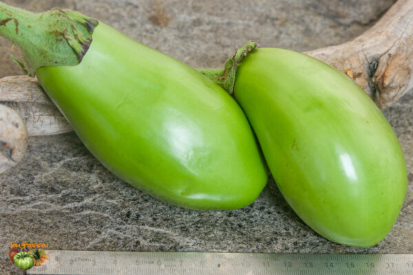 big green