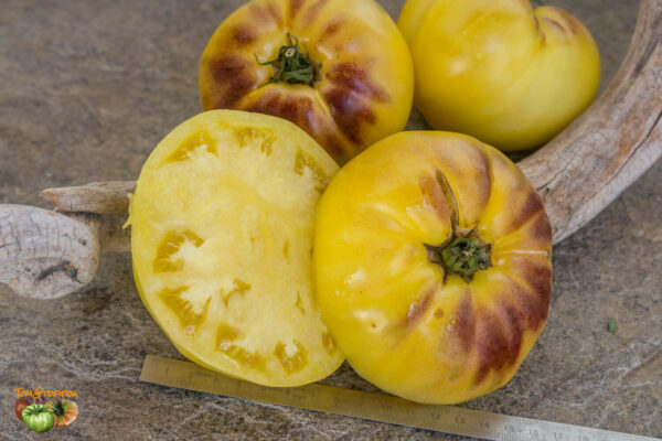 sgt. peppers yellow