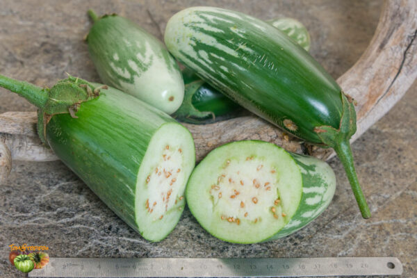 bijli