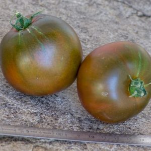 black prince