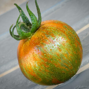 CAL RED AND GREEN