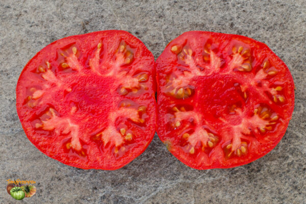 CANABEC ROUGE - Image 6