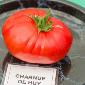 charnue de huy