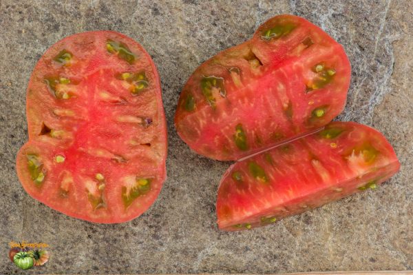 DWARF PINK PASSION - Image 7