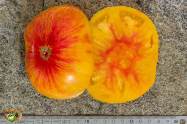 HAZEL MAE – Image 8
