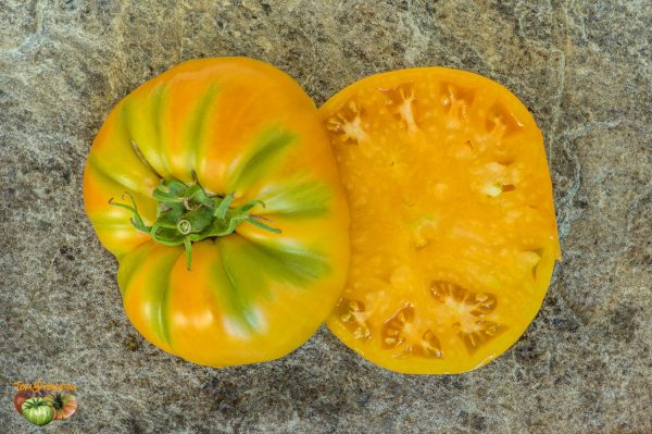 JUMBO JIM ORANGE – Image 6