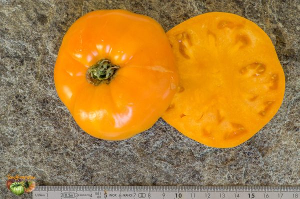 KENTUCKY BEEFSTEAK - Image 5