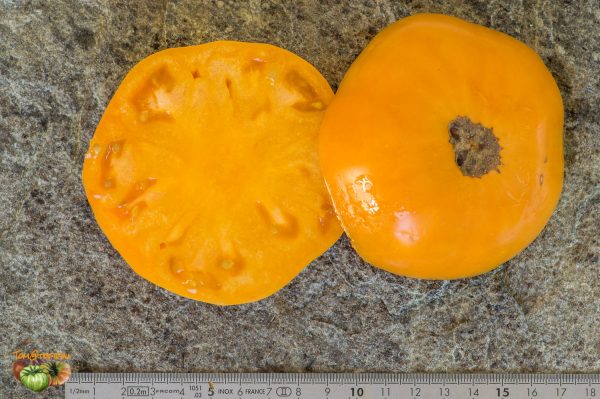 KENTUCKY BEEFSTEAK - Image 6