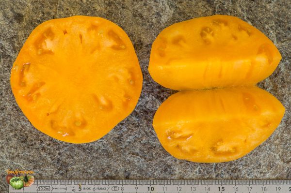 KENTUCKY BEEFSTEAK - Image 7