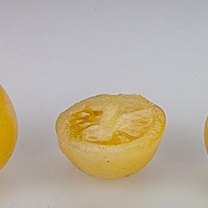 LEMON DROP