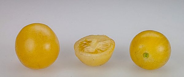 LEMON DROP