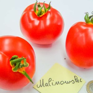 malinowski