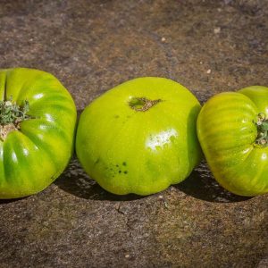 MAX'S LARGE GREEN