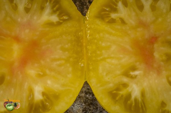 PINEAPPLE PIG – Image 6