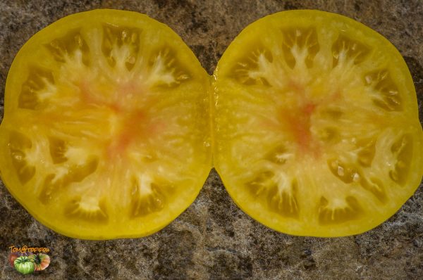 PINEAPPLE PIG – Image 4