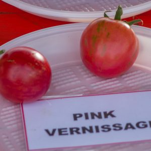 pink vernissage vernizazh rozovvyi