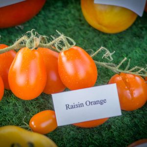 raisin orange