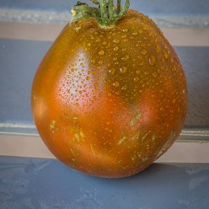 RITA BLACK PEAR