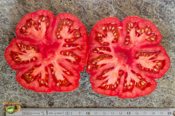 SANTORIN PASTE - Image 10