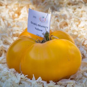 grub's mystery yellow