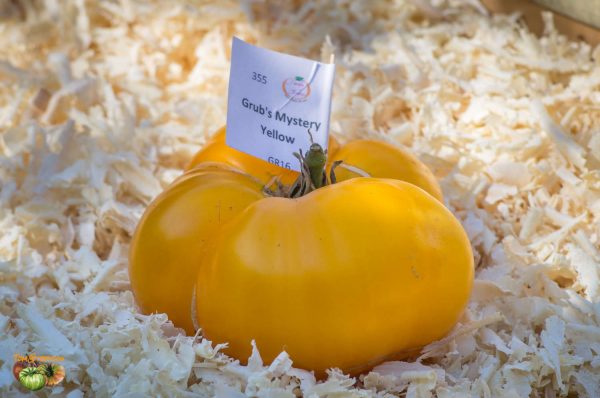 GRUB'S MYSTERY YELLOW