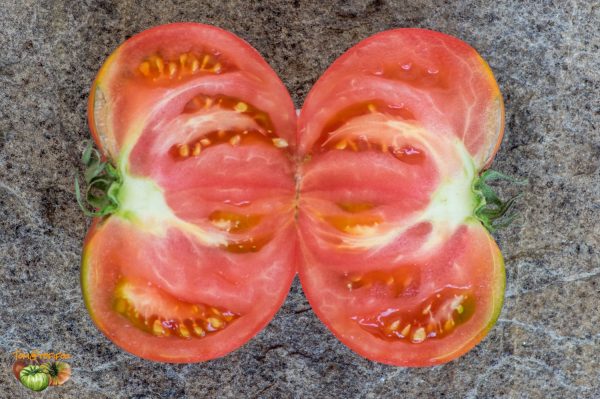 PFUNDS TOMATE - Image 7